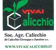 aVivai-Calicchio